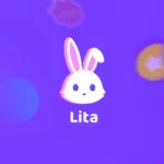 Пополнение Lita